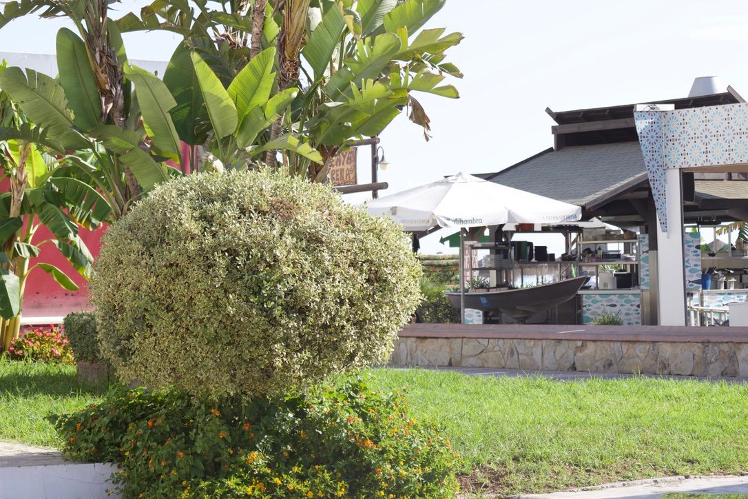 Business local for sale in Torremolinos