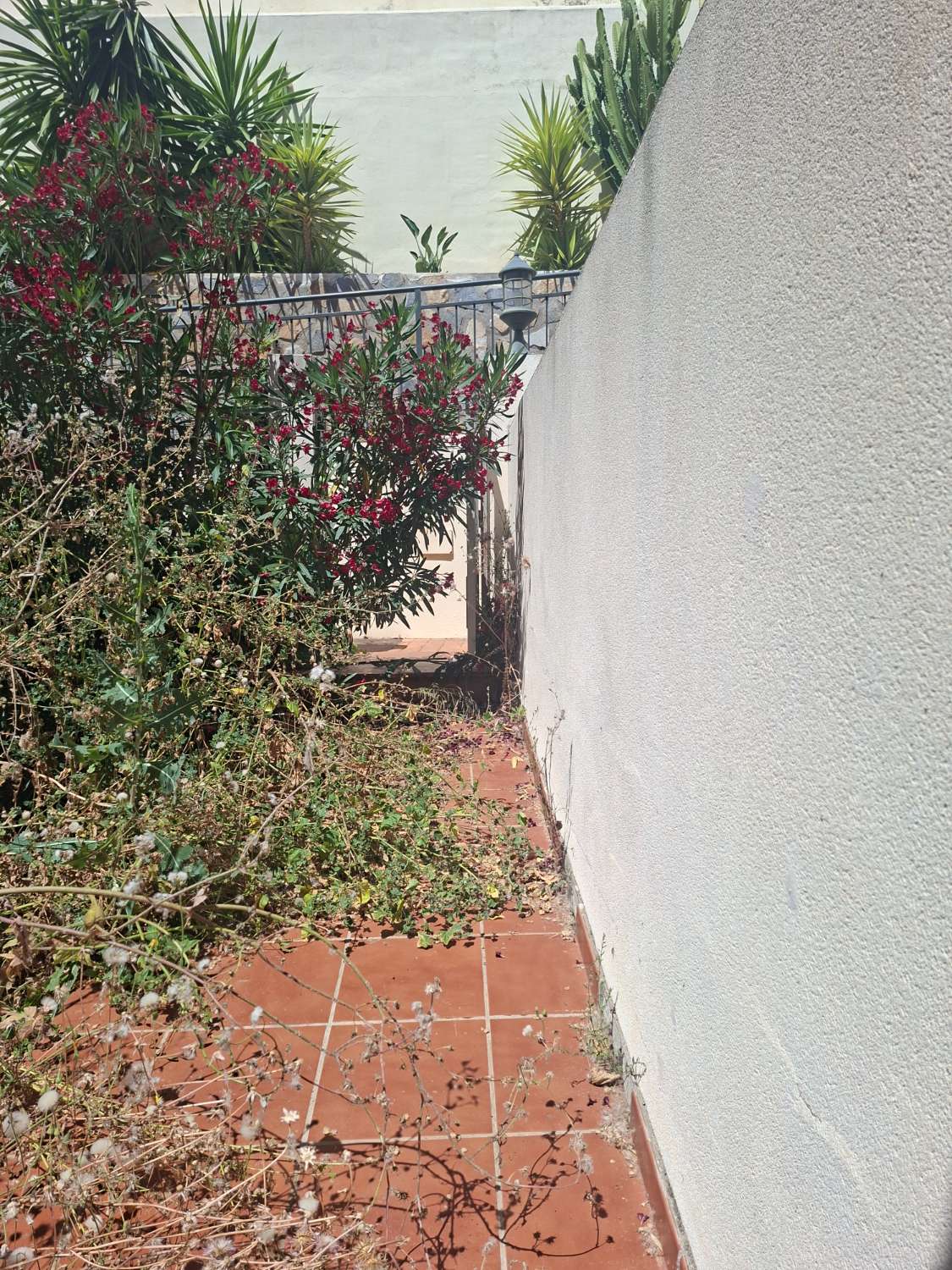 Magnifica vivienda en esquina